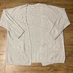 American Eagle Cardigan